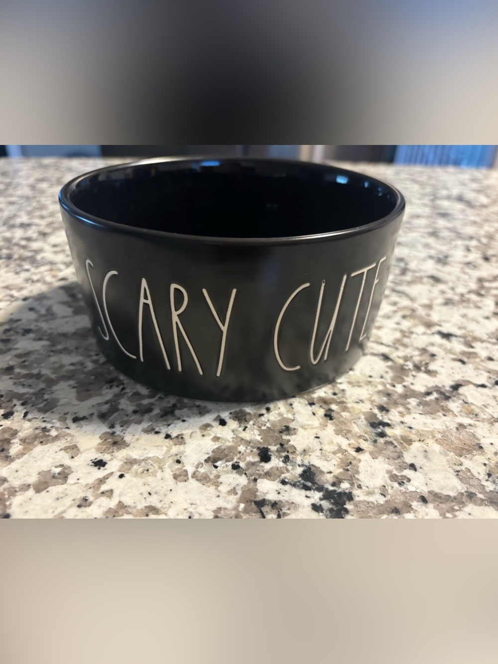 Rae Dunn Black Ceramic Pet Bowl with White Lettering scary cute